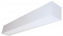 Saylite, Texas Fluorescents Reinvented 44SMW232MVWH - 44 SERIES DIRECT LINEAR 2-F32T8
