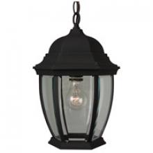  Z281-TB - Bent Glass Cast 1 Light Outdoor Pendant in Textured Black