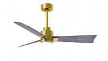 Matthews Fan Company AKLK-BRBR-BW-42 - Alessandra 3-blade transitional ceiling fan in brushed brass finish with barnwood blades. Optimize