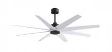  AN-BK-MWH-64 - Ariella 8-blade ceiling fan in Matte Black and Matte White blades