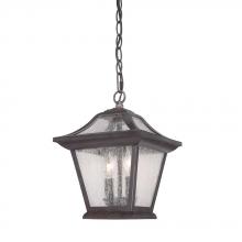 Acclaim Lighting 39016BC - Aiken Collection Hanging Lantern 2-Light Outdoor Black Coral Light Fixture