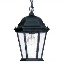  5206BK/SD - Richmond Collection Hanging Lantern 1-Light Outdoor Matte Black Light Fixture