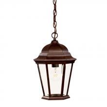  5206BW - Richmond Collection Hanging Lantern 1-Light Outdoor Burled Walnut Light Fixture