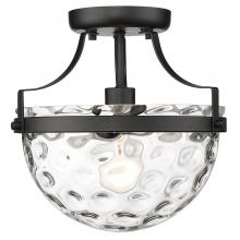  IN60099BK - 1-Light Semi-Flush