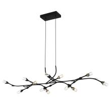 Quoizel PCCOR1250MBK - Cora Island Chandelier