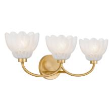 Quoizel WHP8623BRG - Whitecap 3-Light Brushed Gold Vanity Light