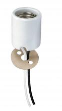 Satco Products Inc. 80/1877 - Keyless Porcelain Socket With Paper Liner; Mounting Screws Held Captive; 2 Wireways; 48" Leads