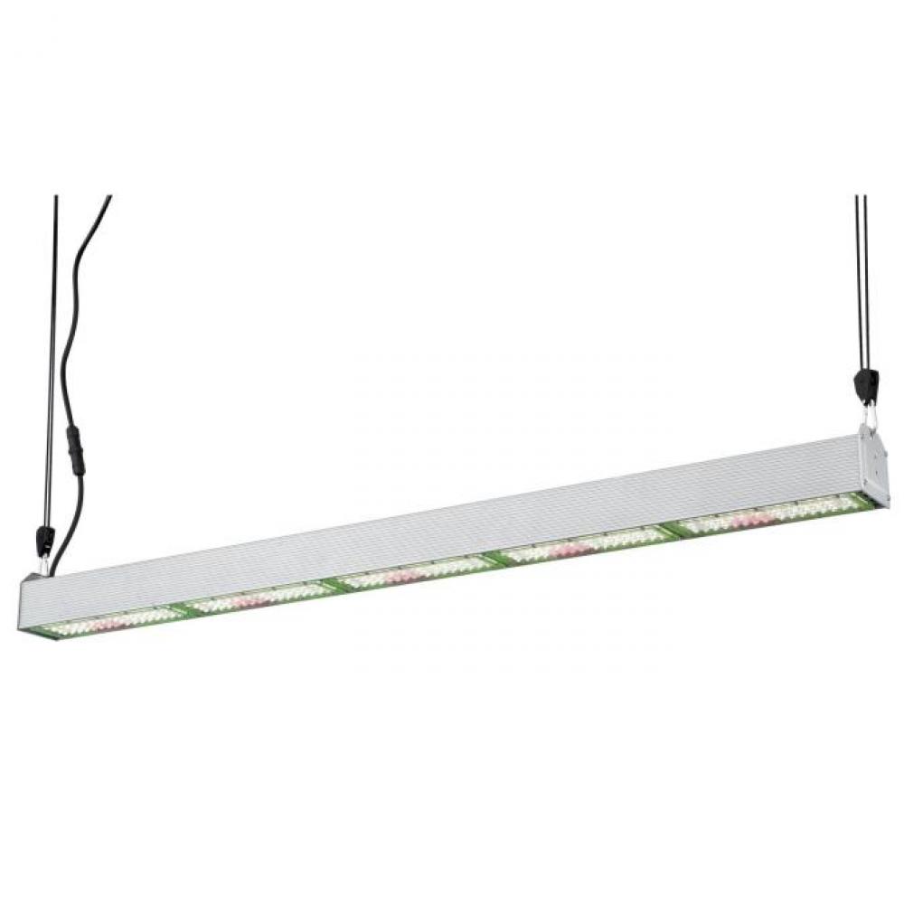 250W Broad Spectrum LED Horticultural Fixture Steel Finish