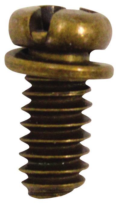 10-Piece Motor Screw Kit Polished Brass Finish