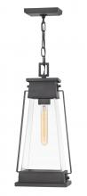 Hinkley Merchant 1138AC - Medium Hanging Lantern