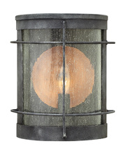 Hinkley Merchant 2620DZ - Small Wall Mount Lantern