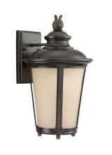 Generation Lighting 88241EN3-780 - Cape May traditional 1-light LED outdoor exterior medium wall lantern sconce in burled iron grey fin