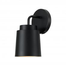Capital AA1035MB - 1 Light Sconce