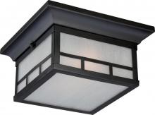 Nuvo 60/5606 - Drexel - 2 Light - Flush with Frosted Seed Glass - Stone Black Finish