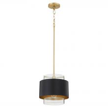  8012-5980 - 10 inches Clear Glass Pendant, Matte Black, Aged Brass