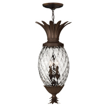 Hinkley 2222CB - Large Hanging Lantern
