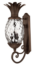 Hinkley 2224CB - Large Wall Mount Lantern