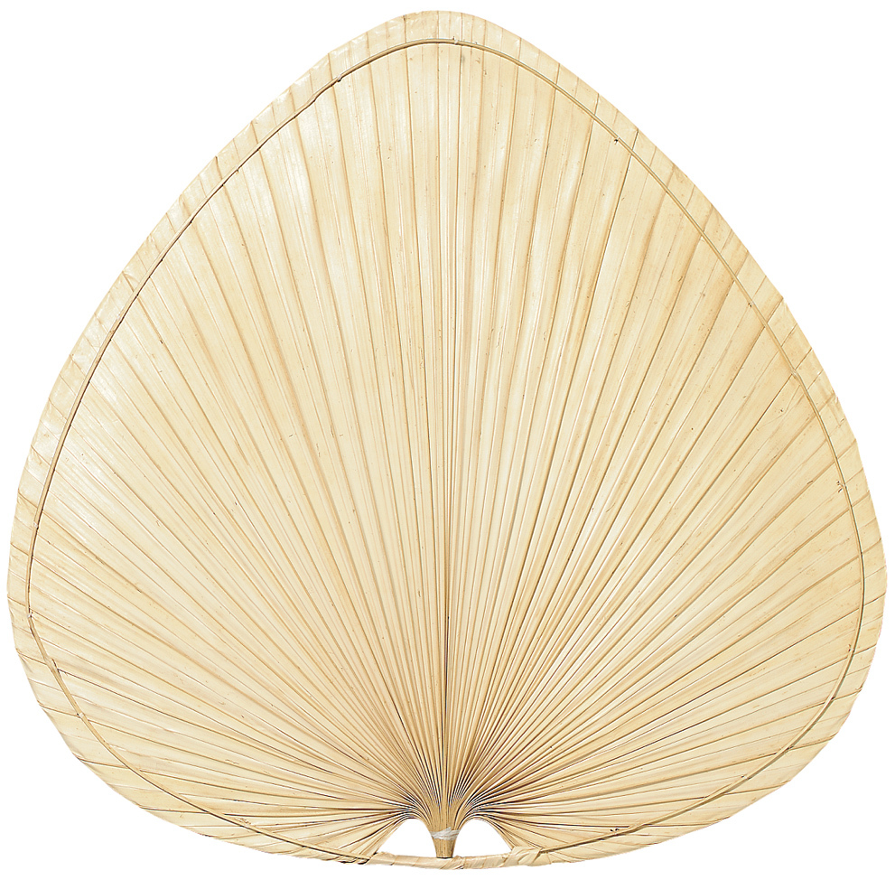 22 inch Wide Oval Palm Blade Set of 5