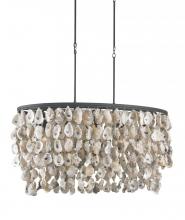  9492 - Stillwater Oyster Shell Oval Chandelier