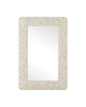 Currey 1000-0168 - Turbinella Rectangular Mirror