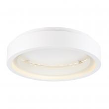  E35101-MW - iCorona WiZ-Smart Light