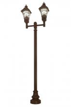Meyda Tiffany 173838 - 47" Long Carefree 2-Light Street Lamp